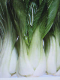 Pak Choi Cabbage Seeds - 100 Count - Brassica rapa var. chinensis - Organic Vegetable Seeds for Gardening