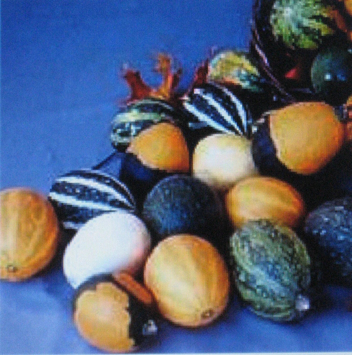 Gourd Seeds Mix - Large & Small Varieties for Kids Crafts & Decorations - Fun Arts & Crafts Projects