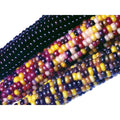 Ornamental Corn Seeds - Crossbow Variety - Fresh Seed - Zea mays subsp. mays