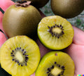 Golden Kiwi Seeds - 50+ Fast Growing Edible Fruit Vine (Actinidia chinensis) for Home Gardening and Orchard Planting