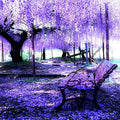 Chinese Wisteria Tree Seeds - 5 Pack, Fast Climbing Flower Vine, Cold Hardy Bonsai Plant, Wisteria sinensis