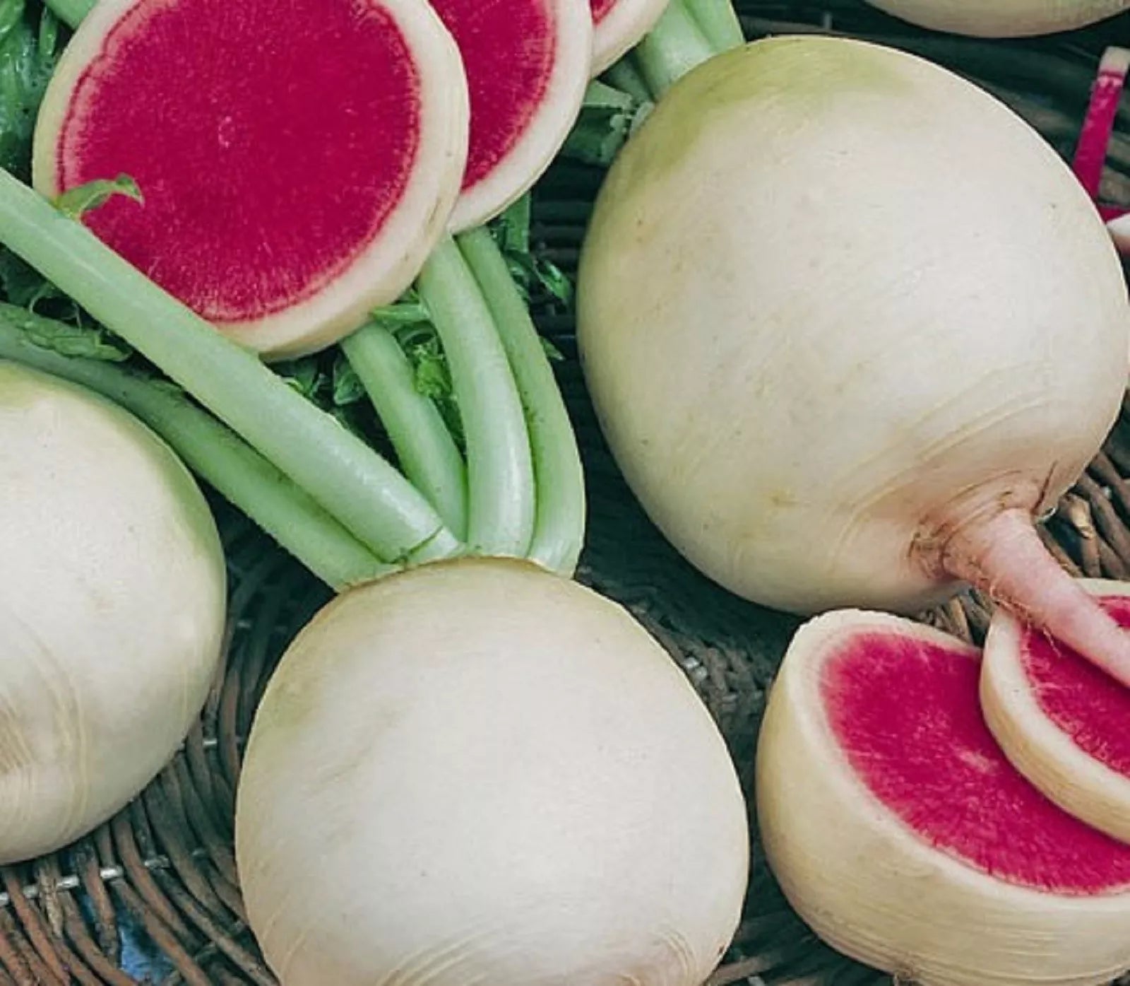 Watermelon Radish Seeds - 100+ Non-GMO Seeds - Raphanus sativus - Heirloom Vegetable Gardening