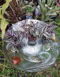 Tradescantia Zebrina "Silver Plus" Wandering Jew Plant in 2.5" Pot - Rooted Houseplant for Indoor Decor