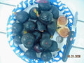 Fig Tree Cuttings, 7 Pieces, Negretta Variety, Hardy Rock Fig, Productive Plant, Ficus carica