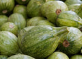 Ronde de Nice Squash Seeds - 25+ Pack for Garden Planting - Cucurbita pepo - Heirloom Variety - USA