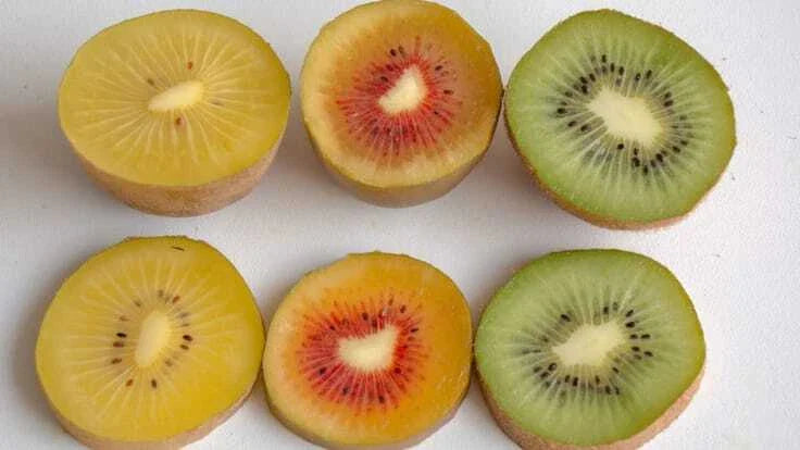 Kiwi Fruit Seeds - Organic Non-GMO Golden Yellow Red Green Varieties - Actinidia deliciosa