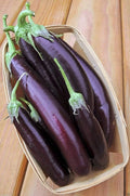 Long Purple Eggplant Seeds - 250 Non-GMO Heirloom Seeds for Planting - Solanum melongena