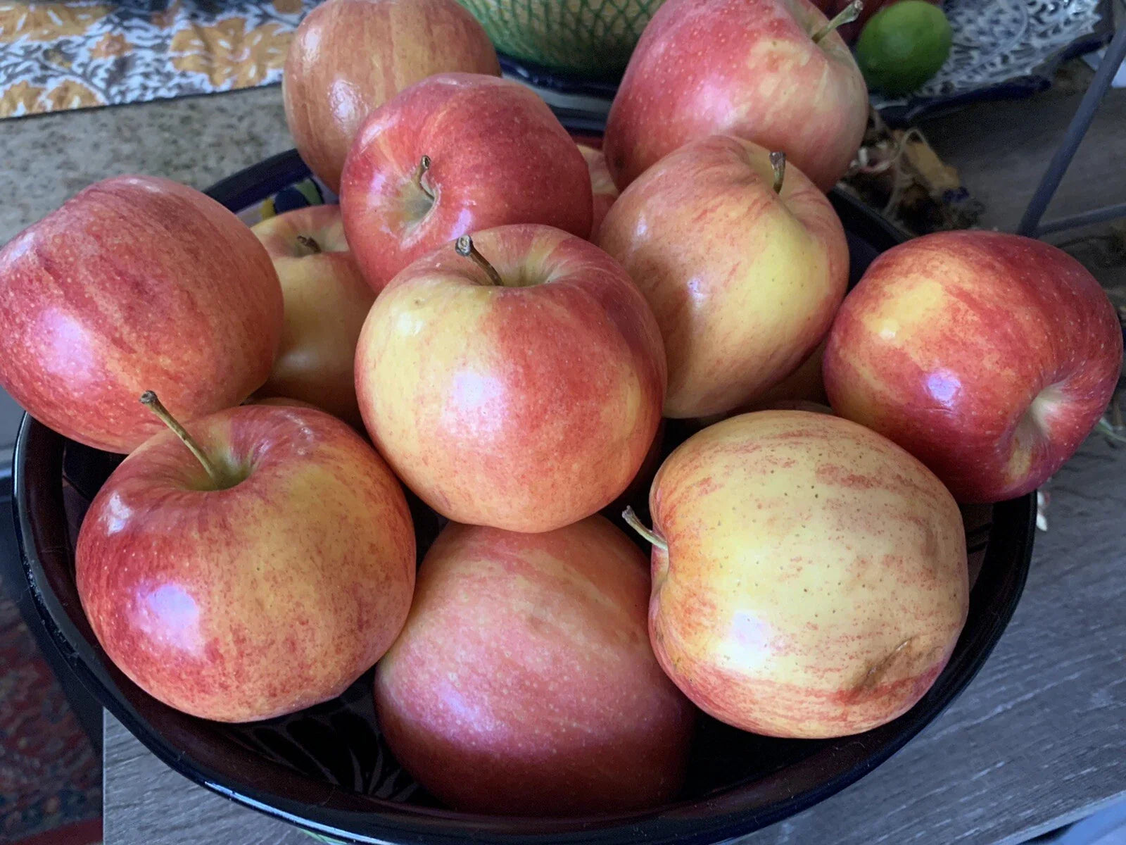 Gala Apple Seeds - Organic Heirloom Fruit Tree - Non-GMO Homegrown Edible - Malus domestica
