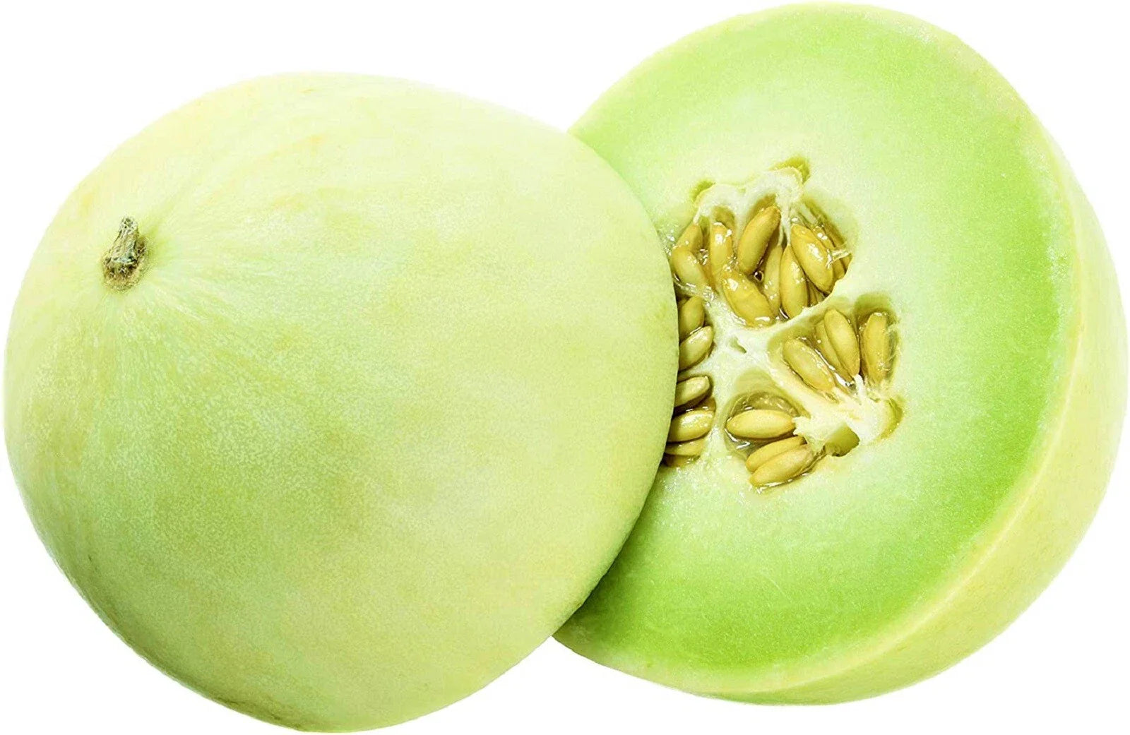 Honeydew Green Flesh Melon Seeds, 35 Non-GMO Seeds, Sweet Melon Variety, Cucumis melo
