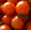 Fresh Heirloom Small Red Cherry Tomato Seeds - 25 Pack - Solanum lycopersicum - Free USA Shipping