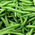 Kentucky Wonder Pole Bean Seeds 50 Ct Heirloom NON-GMO Vegetable Garden Seeds (Phaseolus vulgaris)