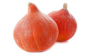 Red Kuri Squash Seeds - 25+ Heirloom Seeds for Garden Planting - Cucurbita pepo - USA, Organic, Non-GMO