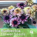 Rudbeckia Seeds - Vintage Mix - 125+ Annual Flower Seeds for Garden - Black-Eyed Susan