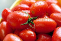 Crovarese Italian Grape Tomato Seeds, 30 Count, NON-GMO, Heirloom Variety, Solanum lycopersicum