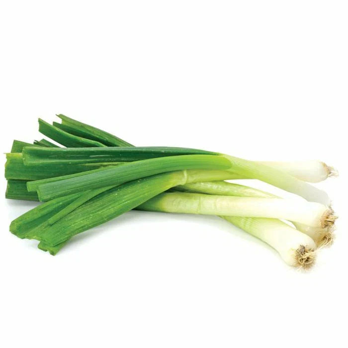 Toky Long White Bunching Onion Seeds - Allium fistulosum - Heirloom Vegetable Garden Seeds for Fresh Onions
