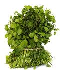 Watercress Seeds - 500+ True Watercress Seeds, Chinese Watercress Superfood Microgreen, Nasturtium officinale