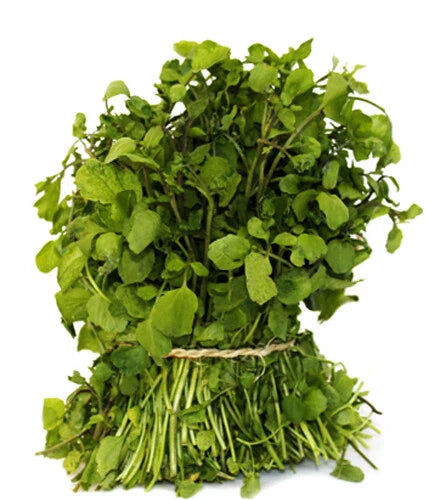 Watercress Seeds - 500+ True Watercress Seeds, Chinese Watercress Superfood Microgreen, Nasturtium officinale