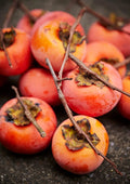 Persimmon Tree Seeds - 50 Seeds - Outdoor Variety - Diospyros virginiana - Made in USA, Ships from Iowa