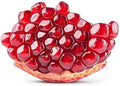 Pomegranate Seeds - Edible Fruit - USA Grown, Ships from Iowa - Punica granatum