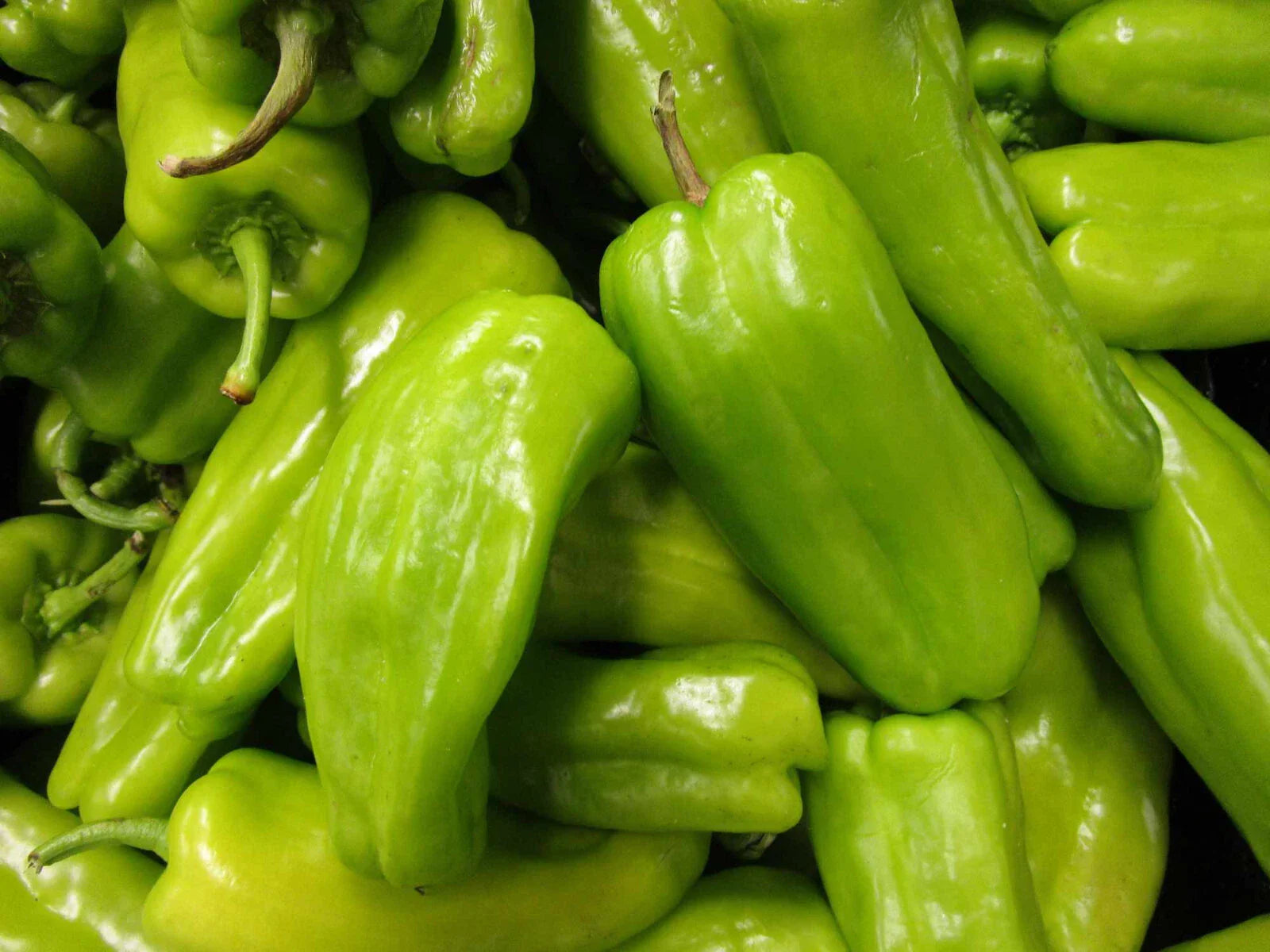 Cubanelle Pepper Seeds - 100 Count - Capsicum Annuum - Heirloom Variety for Home Gardening