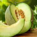 Rocky Ford Green Cantaloupe Seeds - Heirloom Open-Pollinated Variety for 2025 Planting