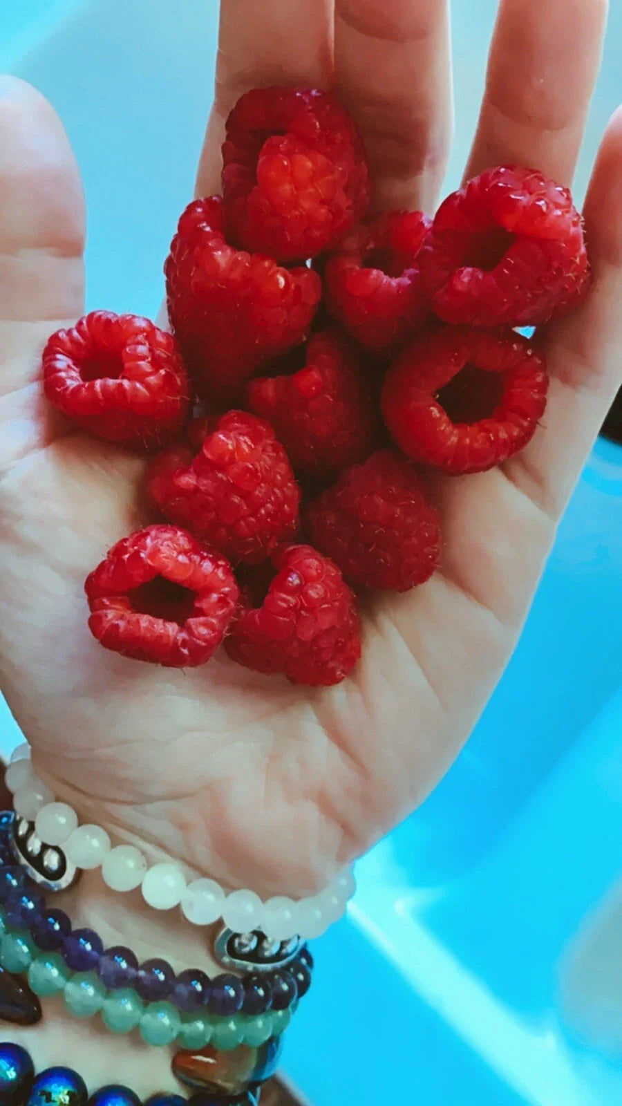Red Raspberry Seeds - 100 Count - Edible Berry Garden Vine - Homegrown Medicinal Fruit - Rubus idaeus