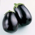 Eggplant Seeds - Black Beauty - 50+ Fresh Seeds - Solanum melongena