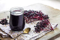 Fresh Elderberry Cuttings, 5 Pack, Black Berries, Sambucus nigra