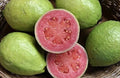 Pink Guava Seeds - Organic Fresh Fruit Garden - Psidium guajava - Easy to Grow - TX USA - Free Shipping