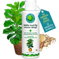 Fiddle Leaf Fig Rescue Drops 100ml – 3-in-1 Fertilizer, Root & Immunity Boost for Healthy Plants