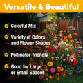 Premium Wildflower Seeds Bulk Mix 2oz - 59,300+ Seeds, 19 Varieties for Pollinator Gardens, Native Plants, Eco-Friendly
