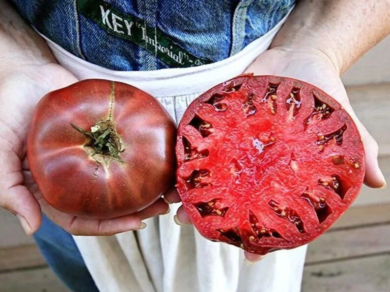 Cherokee Purple Tomato Seeds - 10+ Heirloom Non-GMO Organic Seeds - Solanum lycopersicum