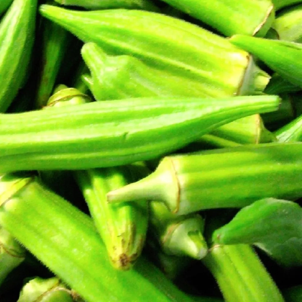 Clemson Spineless Okra Seeds | Non-GMO Heirloom Vegetable Seeds | Organic Gardening | Abelmoschus esculentus