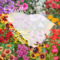 Wildflower Seed Mix 1/4lb Bulk South Carolina Blend Covers 2,000 sq ft - Native Flower Seeds for Garden (Various Colors)