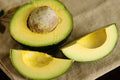 Rare Cleopatra Avocado Cuttings 3 Scions Fresh Wax Dipped Persea americana