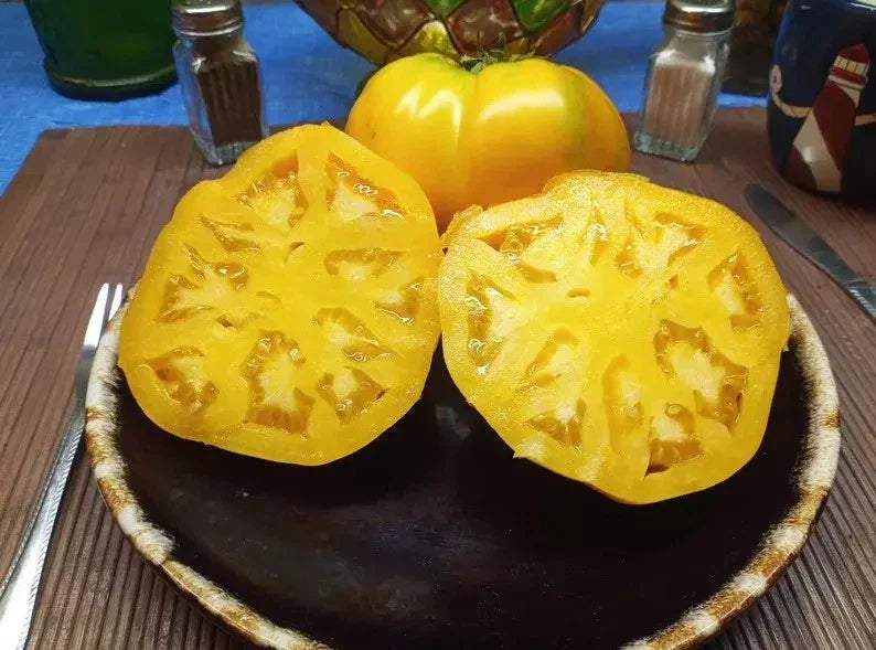 Golden Jubilee Tomato Seeds - 10+ HEIRLOOM, ORGANIC, NON-GMO - Solanum lycopersicum