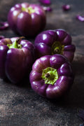 Purple Beauty Pepper Seeds - 100+ Seeds - Versatile Edible Pepper for Gardening (Capsicum annuum)