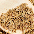Cumin Herb Seeds for Planting | Heirloom Non-GMO Cuminum cyminum | Organic Culinary Spice Seeds