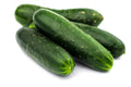 Carolina Cucumber Seeds - 50+ Heirloom Organic Non-GMO - Cucumis sativus