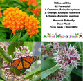 Perennial Milkweed Mix Seeds - Monarch Butterfly Host Plant - Orange - Non-GMO - 100 Seeds