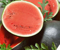 Sugar Baby Watermelon Seeds - 25+ Pack - Sweet Garden Variety - Citrullus lanatus