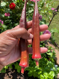 Red Burgundy Okra Seeds - 100+ NON-GMO Heirloom Seeds - Fresh Quality for Home Gardening (Abelmoschus esculentus)