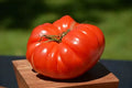 German Johnson Tomato Seeds - 30+ Non-GMO Heirloom Organic Seeds - Perfect for Home Gardening - Solanum lycopersicum