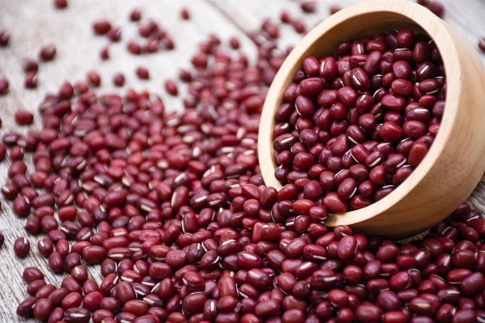 Adzuki Soybean Seeds - 100 Red Bean Seeds for Planting - Vigna angularis
