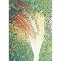 Broom Corn Seeds - 50 Multicolor Non-GMO Heirloom Seeds - Zea mays subsp. mays