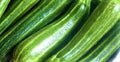 Cocozelle Zucchini Seeds 30 Seeds Non-GMO Heirloom Cucurbita pepo