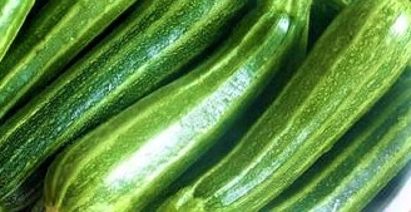 Cocozelle Zucchini Seeds 30 Seeds Non-GMO Heirloom Cucurbita pepo
