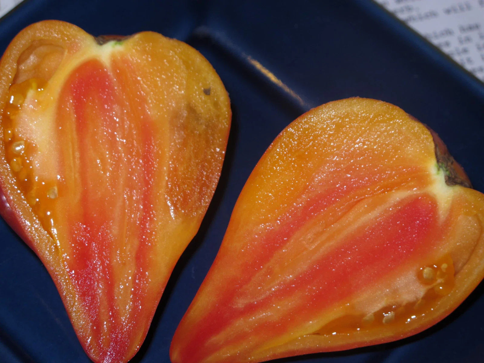 Orange Oxheart Tomato Seeds - 30+ Heirloom Organic - Rare Variety - Solanum lycopersicum