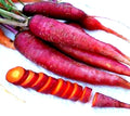 Purple Dragon Carrot Seeds - Non-GMO, 200+ Seeds, Heirloom Variety, Daucus carota