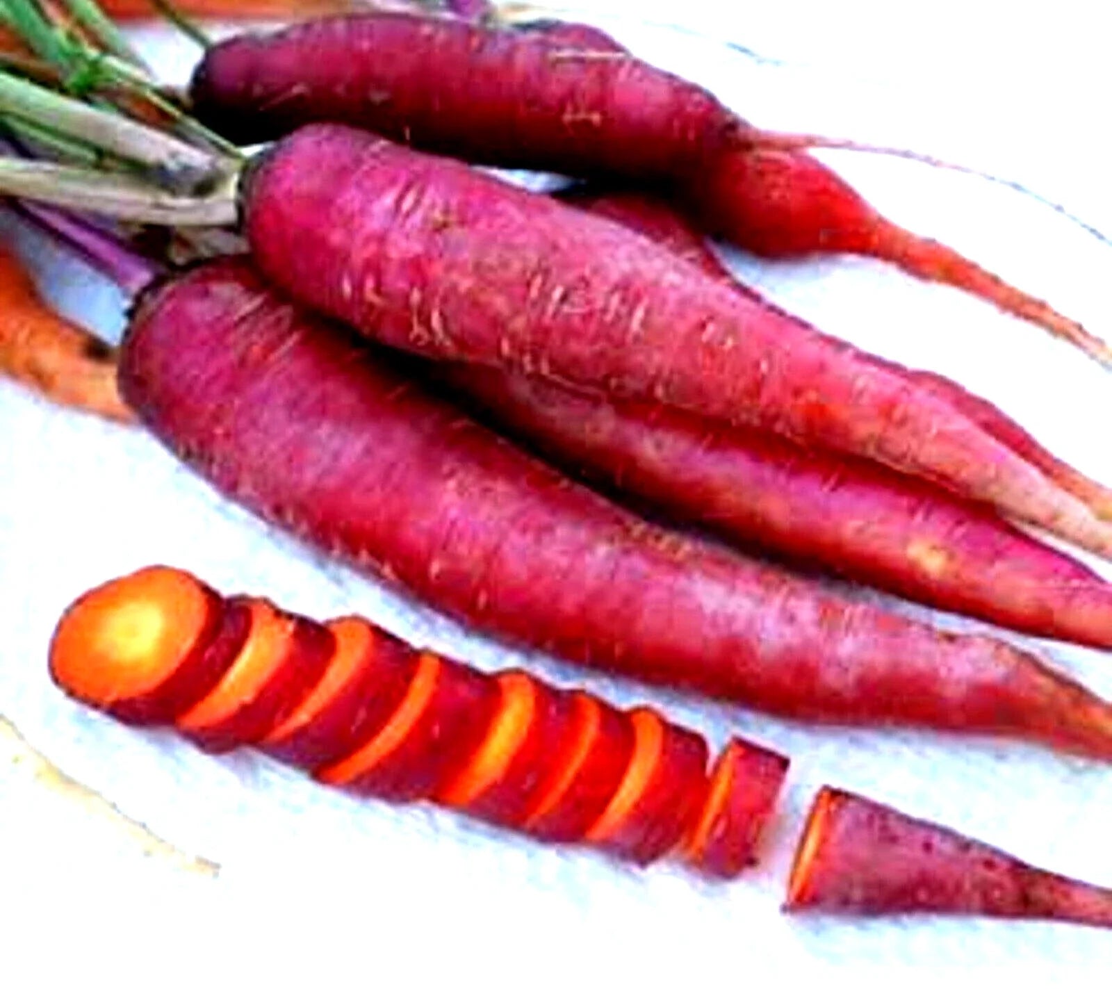 Purple Dragon Carrot Seeds - Non-GMO, 200+ Seeds, Heirloom Variety, Daucus carota